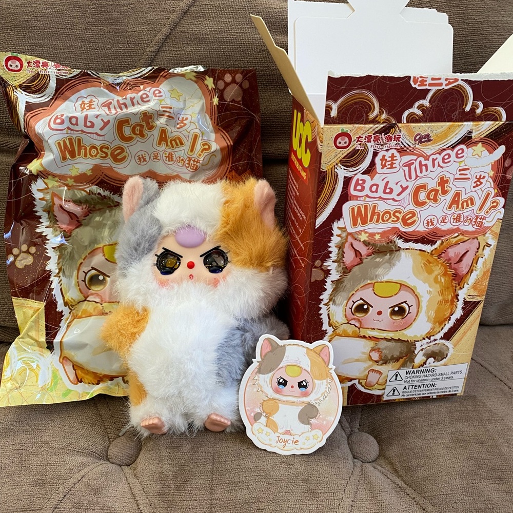 Baby Three Whose Cat Am I?